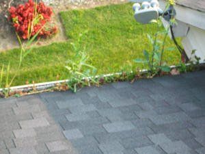 cleaning your gutters